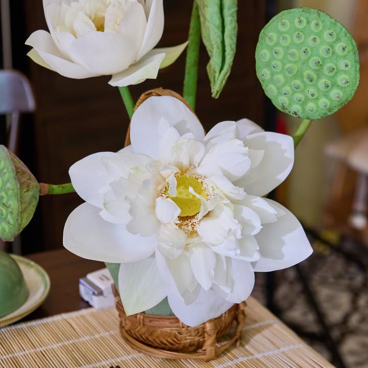 Tiệc thoảng hương sen mùa hè tại Senté — ảnh 4