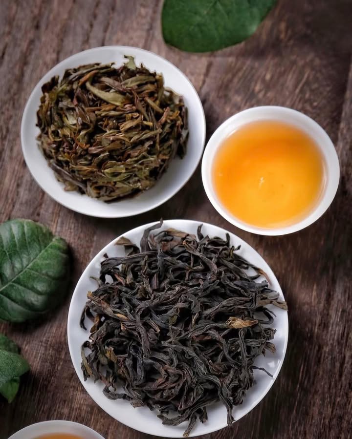 Workshop Là Sen: Trà và những khoảng lặng nhẹ — ảnh 4