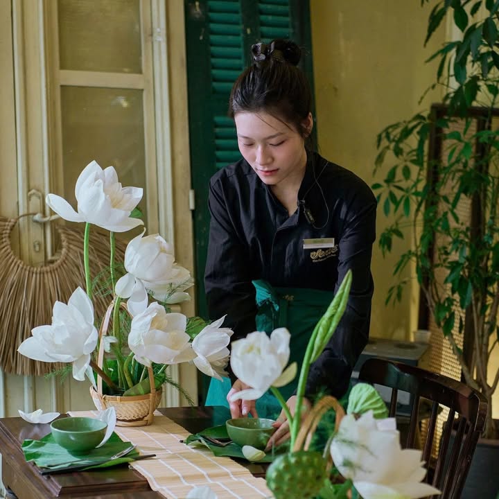 Tiệc sen cuối mùa tại Senté: lưu lại khoảnh khắc của một mùa lành — ảnh 5