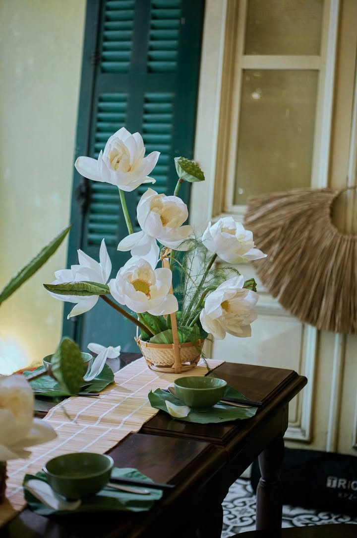 Tiệc sen cuối mùa tại Senté: lưu lại khoảnh khắc của một mùa lành
