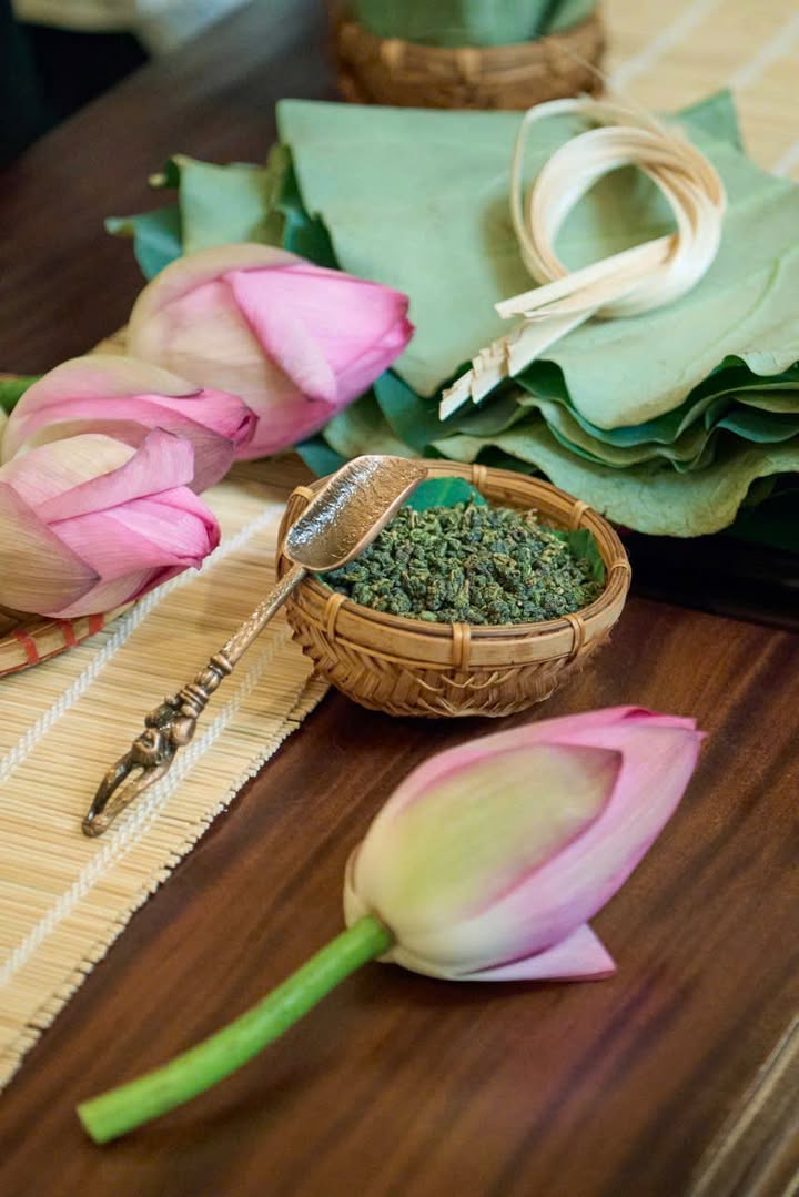 Workshop Là Sen: Hương trà sen còn đọng lại giữa mùa tri ân của Senté — ảnh 3