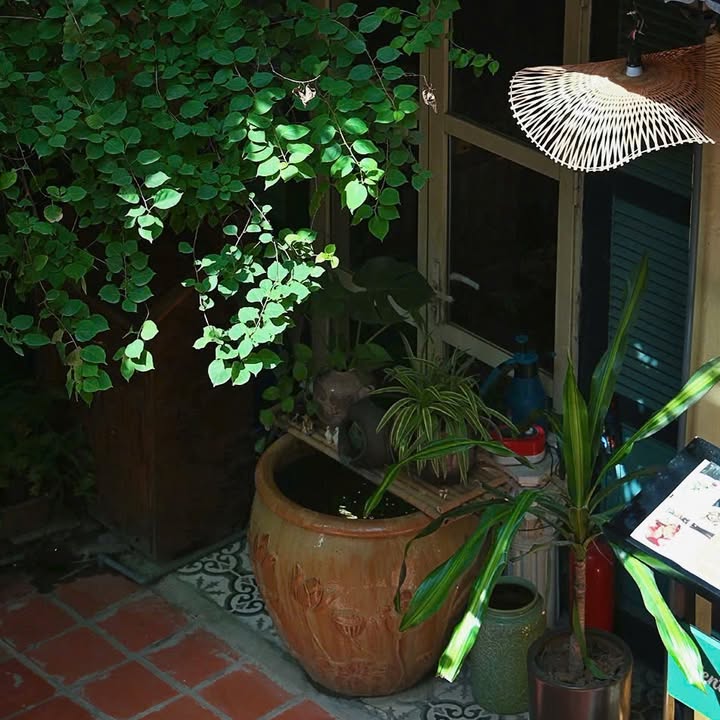 Một khoảng xanh yên ả và những món sen thanh lành ở Senté Nguyễn Quang Bích — ảnh 4