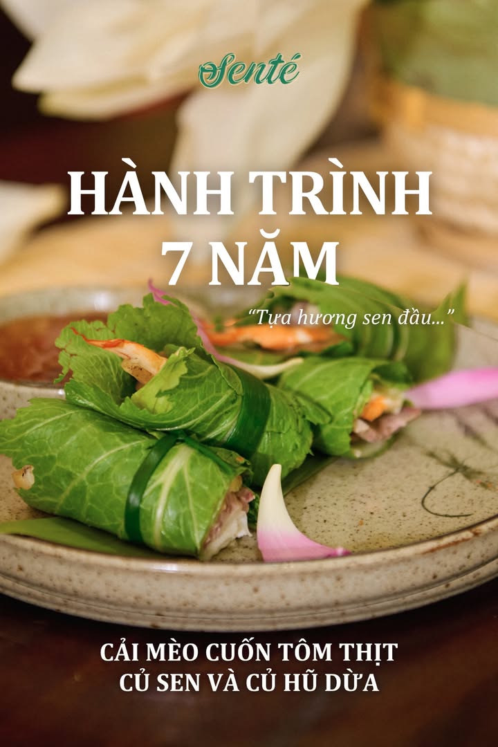 Tựa hương sen đầu: Món cuốn cải mèo tôm thịt củ sen mùa hè của Senté