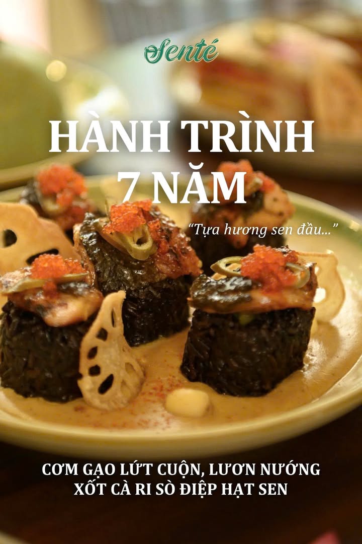 Từ hạt sen đến cơm gạo lứt cuộn lươn nướng và xốt cà ri sò điệp tại Senté