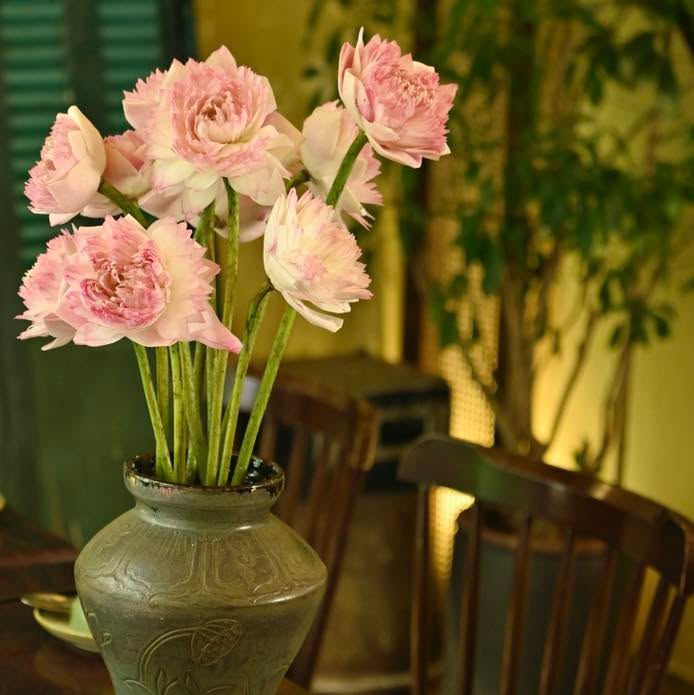 Senté Nguyễn Quang Bích - Góc dịu nắng giữa phố cổ — ảnh 3