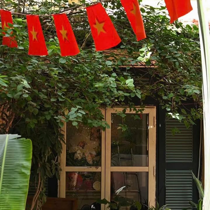 Senté tri ân Quốc khánh với chè bưởi từ 30/8 đến 5/9 — ảnh 4