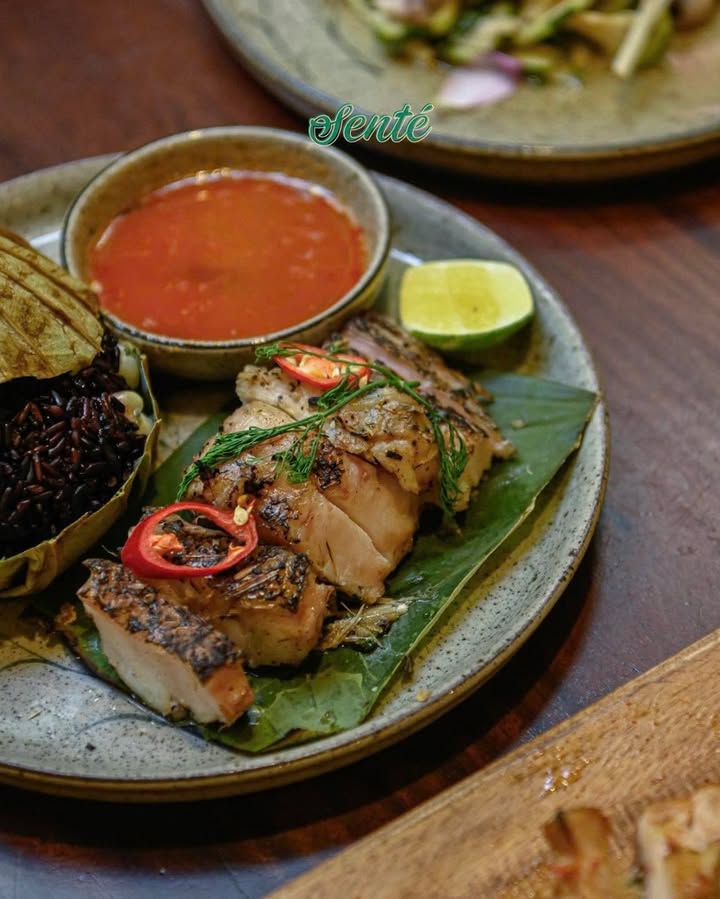 Senté Nguyễn Quang Bích: Điểm hẹn chớm thu giữa nhịp sống vội — ảnh 4