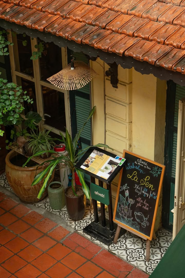 Ngày mưa ở Senté Nguyễn Quang Bích: chốn bình yên giữa Hà Nội — ảnh 3
