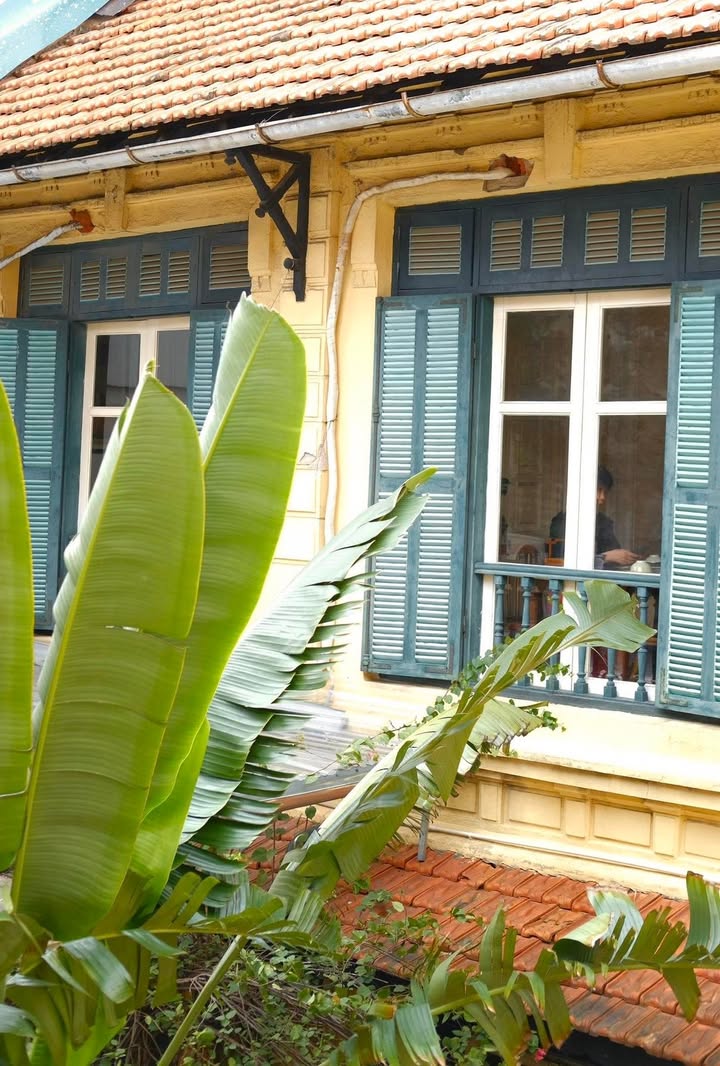 Senté Nguyễn Quang Bích: Góc nhỏ dịu nắng giữa phố cổ — ảnh 2