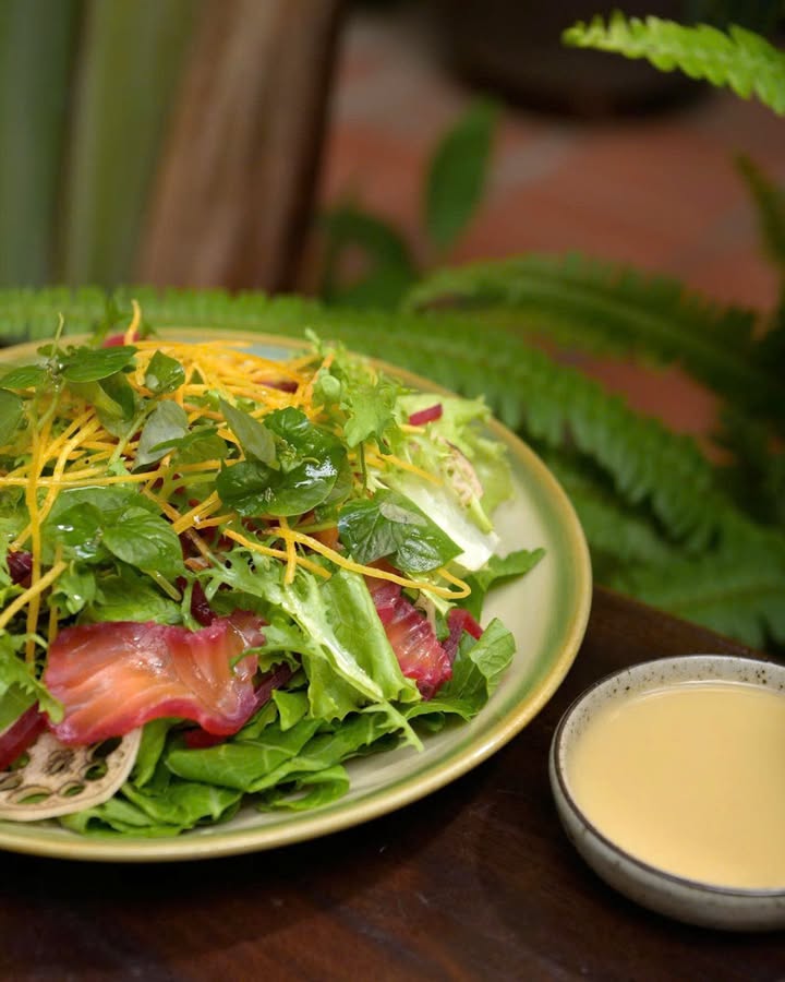 Hương nhẹ những ngày Thu Đông: salad đồng quê với cá hồi muối củ dền và xốt rượu sake