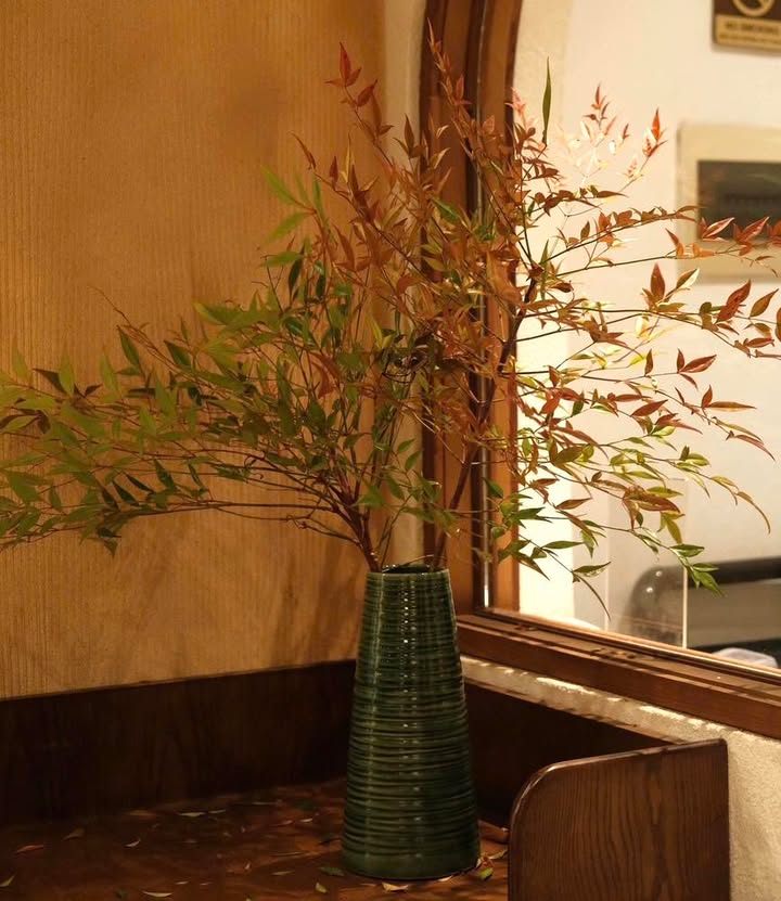 Mùa đông gõ cửa ở Senté Liễu Giai — ảnh 4