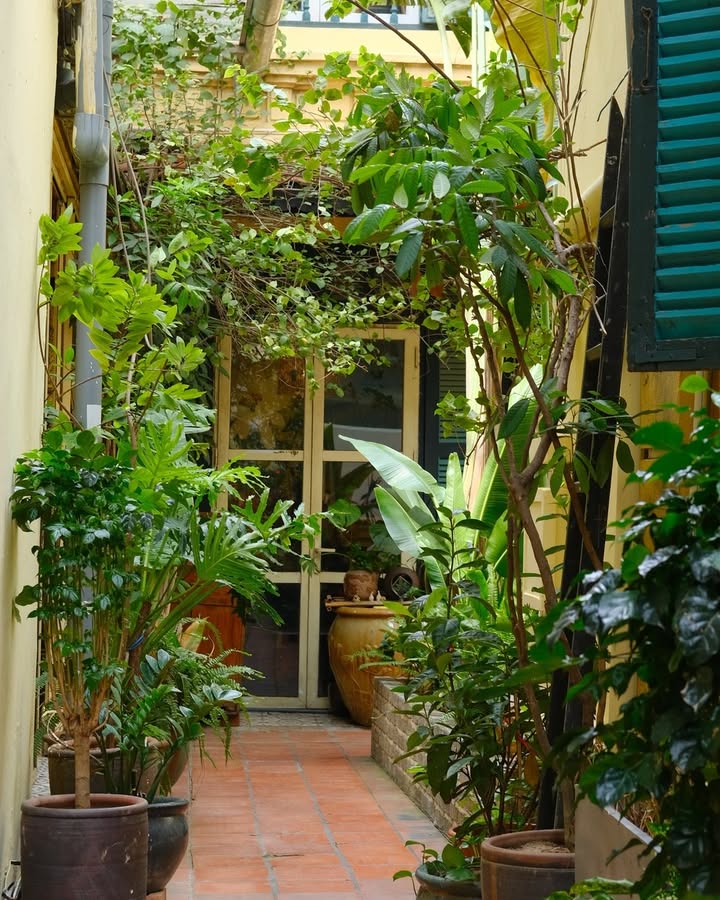 Gặp gỡ đầu năm bên mâm cơm ấm và khu vườn yên