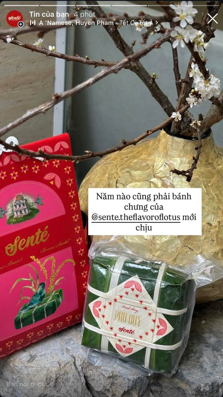 Bánh chưng Senté: Gửi trọn niềm tin và ưu đãi pre-order 10%