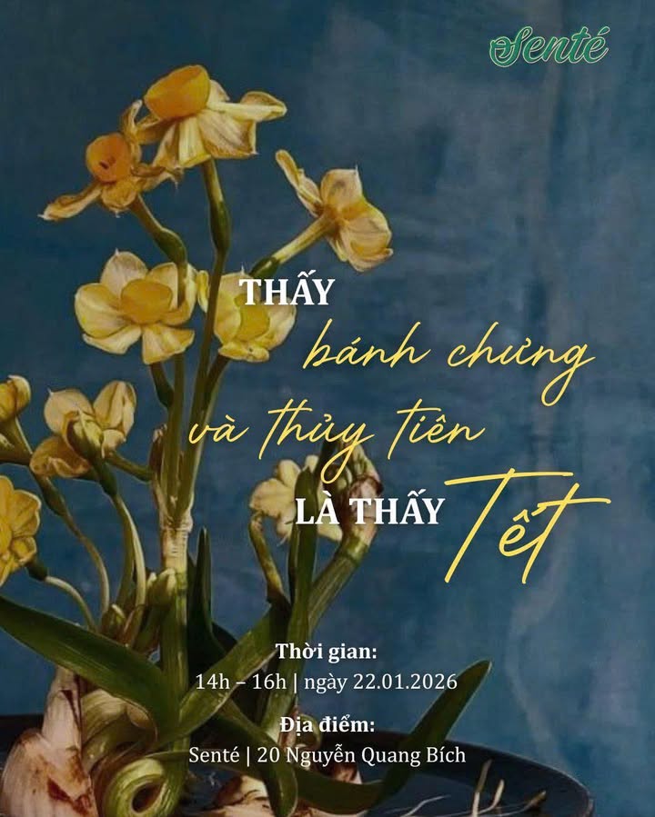 Trải nghiệm Tết chậm: gọt thủy tiên, bên bánh chưng và trà ấm tại Senté — ảnh 2