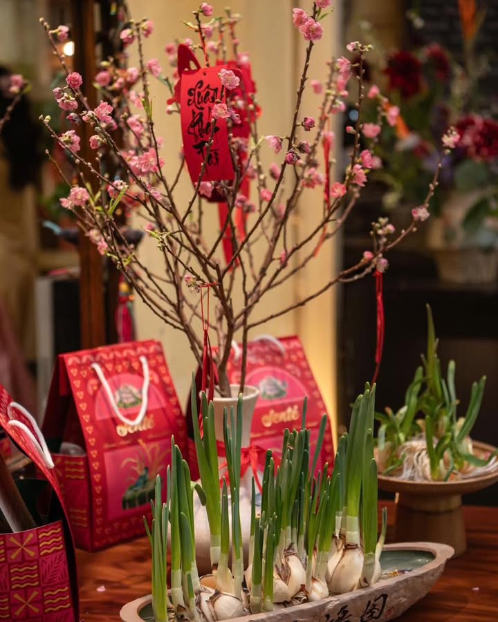 Workshop Tết tại Senté: bánh chưng, thủy tiên và một nhịp chậm cuối năm — ảnh 4