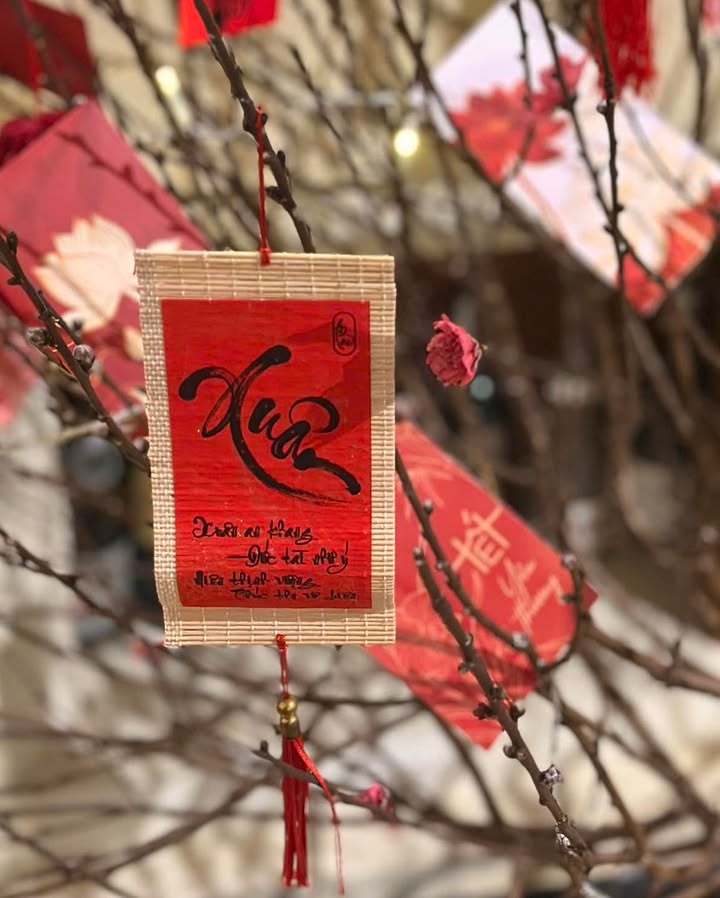 Lộc Ngọc Thanh Xuân tại Senté: Hái lộc, nhận ưu đãi đầu năm đến 28/02 — ảnh 4