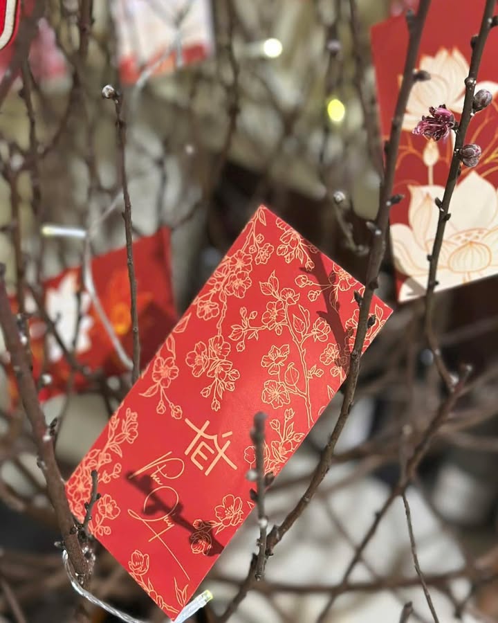 Lộc Ngọc Thanh Xuân: hái lộc đầu năm và khoảng xuân an lành tại Senté — ảnh 3
