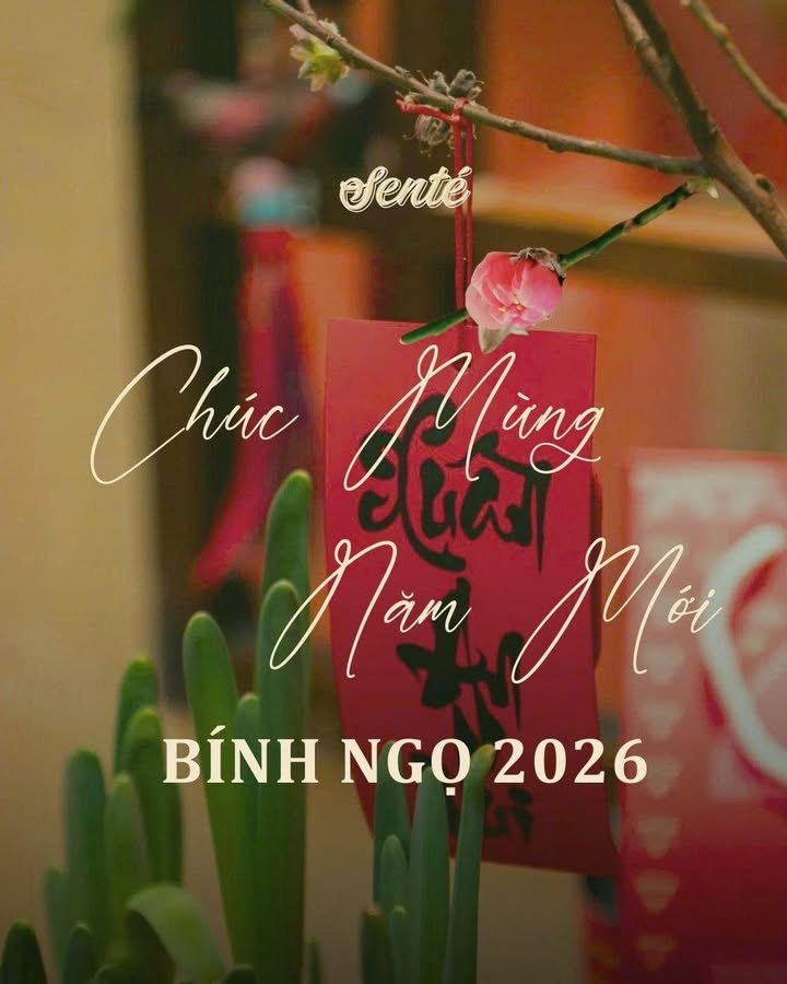 Khai xuân rực rỡ cùng Senté: nước hạt sen, cơm sen gạo lứt, chè sen cốt dừa