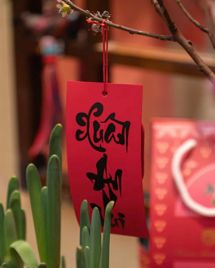 Đầu năm hẹn nhau hội ngộ và gửi lời chúc xuân tại Senté — ảnh 3