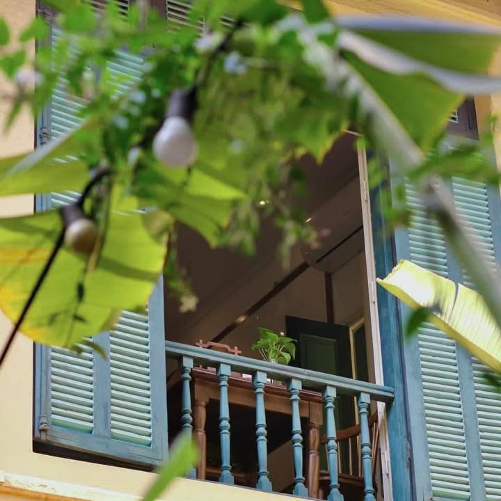 Hẹn nhau dưới khoảng xanh: bữa ăn và phút nghỉ cho tâm hồn
