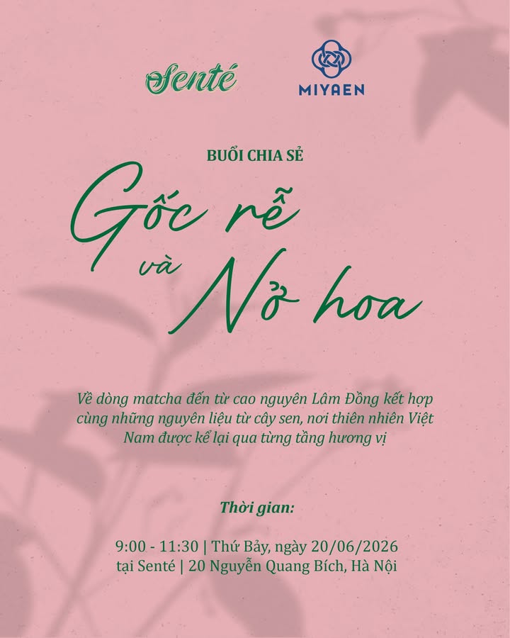 Workshop Gốc Rễ và Nở Hoa: Khi matcha Lâm Đồng gặp sen Việt