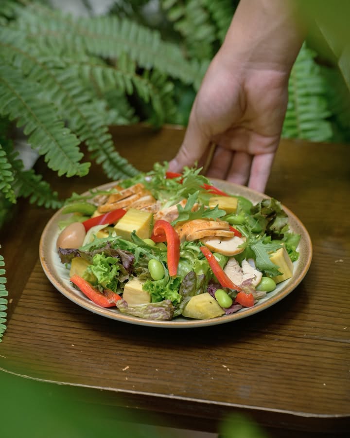 Senté Nguyễn Quang Bích – khu vườn ẩn mình giữa phố Hà Nội — ảnh 5