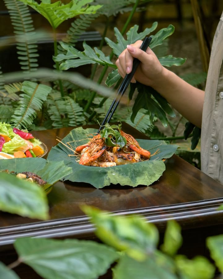 Senté Nguyễn Quang Bích – khu vườn ẩn mình giữa phố Hà Nội — ảnh 3