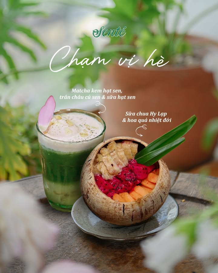 Senté mang hương vị mùa hè dịu nhẹ với matcha kem hạt sen và sữa chua Hy Lạp hoa quả nhiệt đới