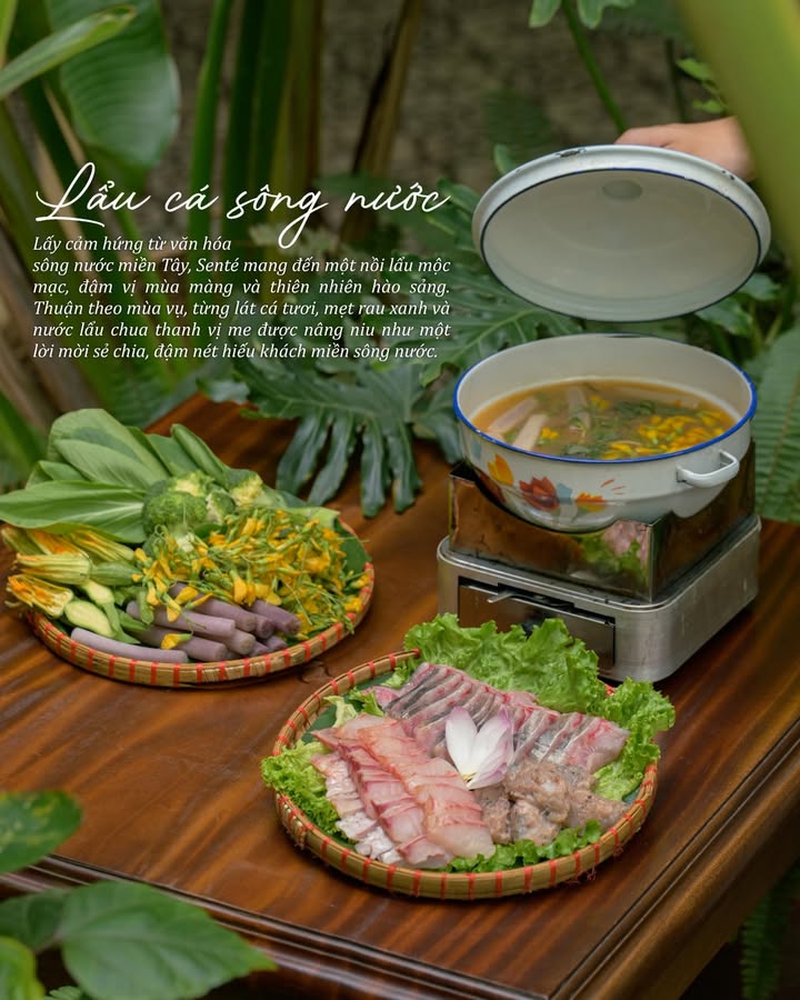 Lẩu cá sông nước mộc mạc đậm vị miền Tây tại Senté