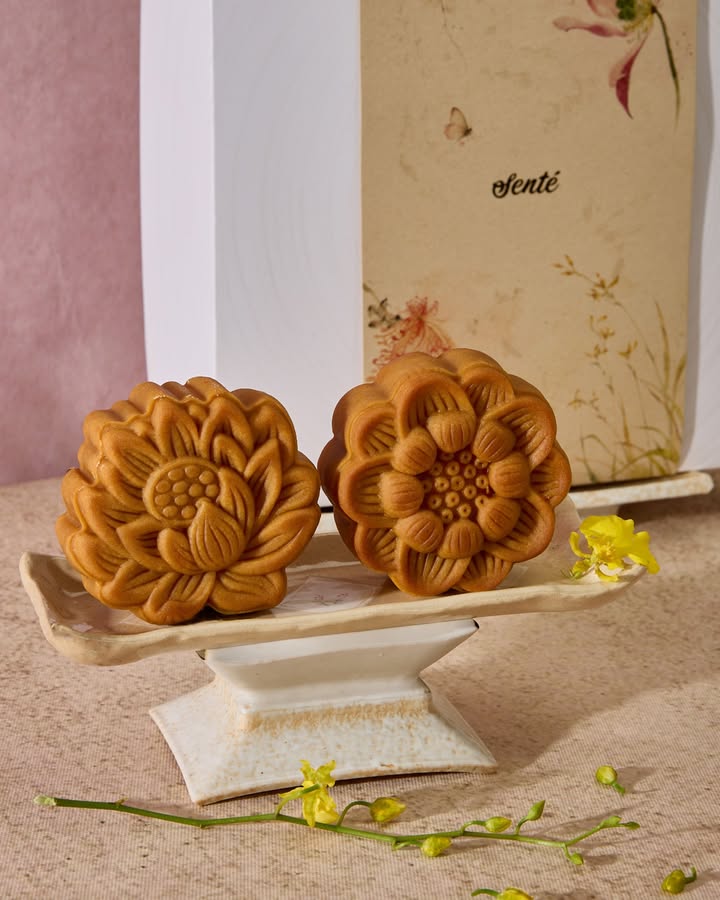 Senté giới thiệu vị bánh sen quả vả cream cheese mùa Trung Thu Hoa Nở — ảnh 4