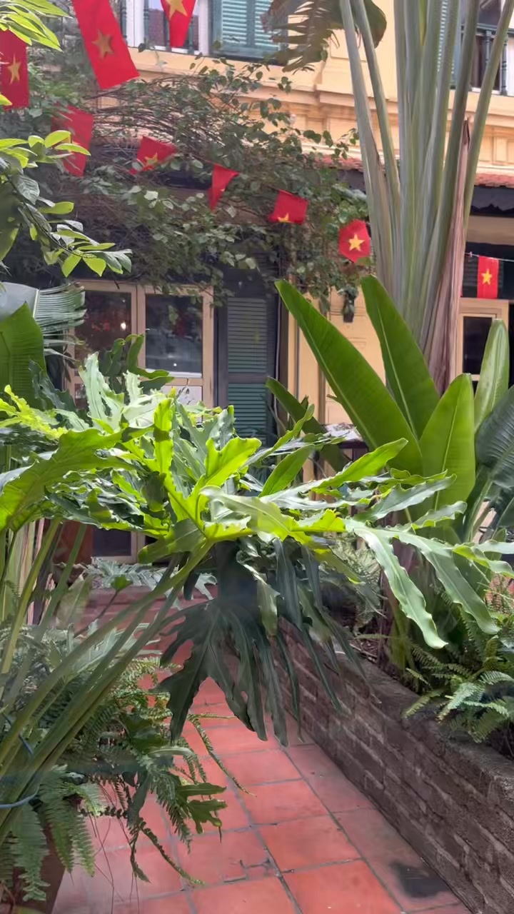 Senté Nguyễn Quang Bích đón Trung thu với không gian mới, bánh Sơn Thủy Hoa Nguyệt và vị sen