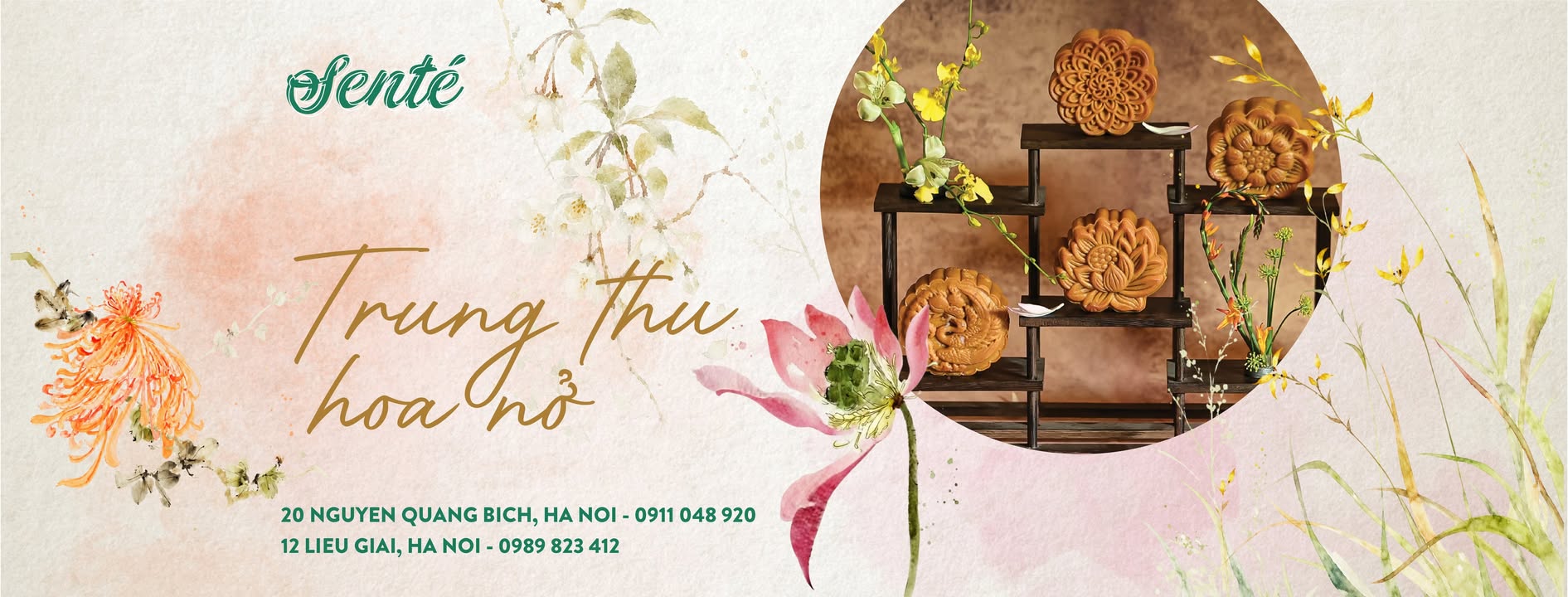 SENTÉ - The Flavor Of Lotus Updates Cover Photo