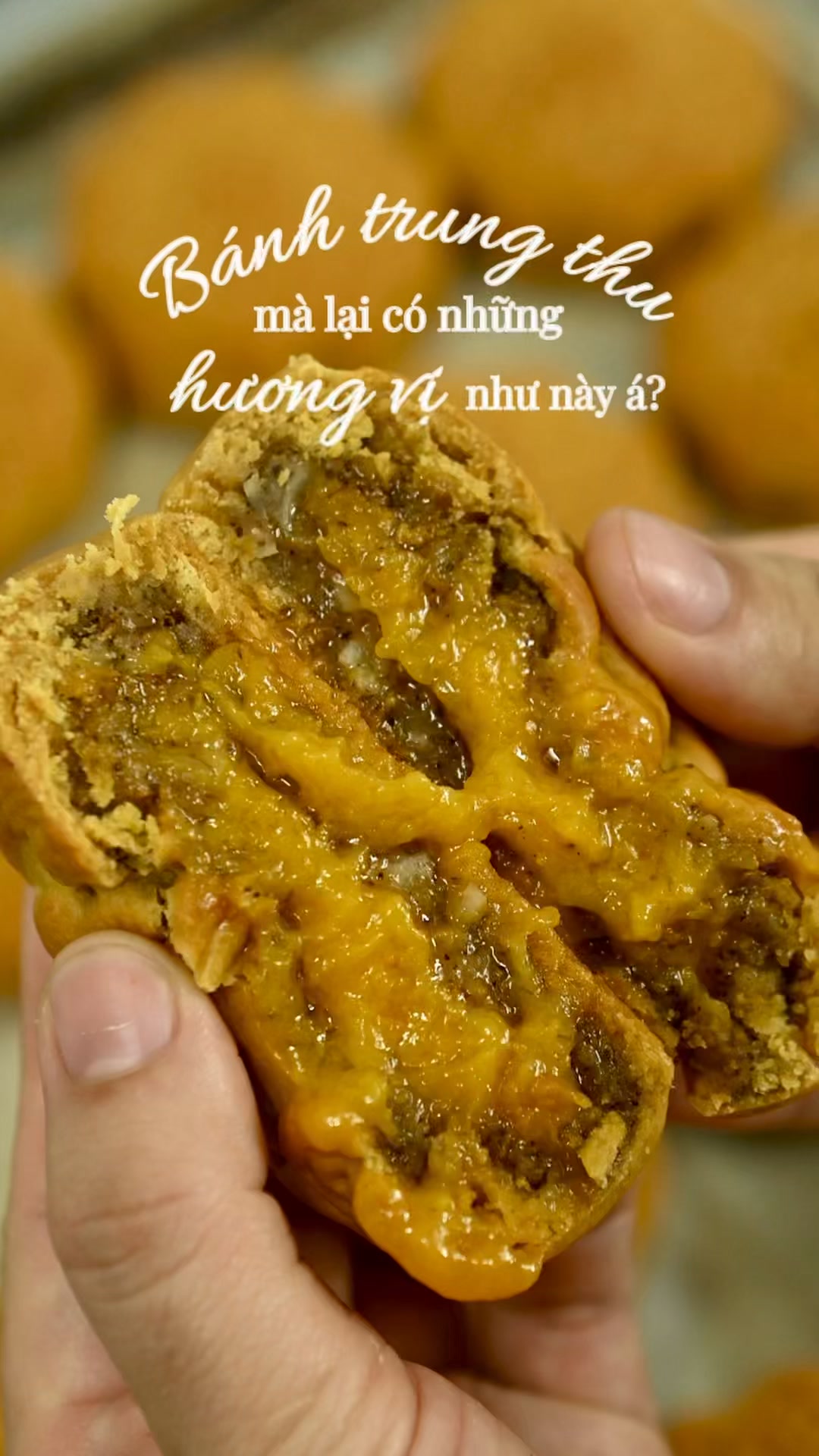 Những hương vị bánh Trung Thu chỉ có tại Senté