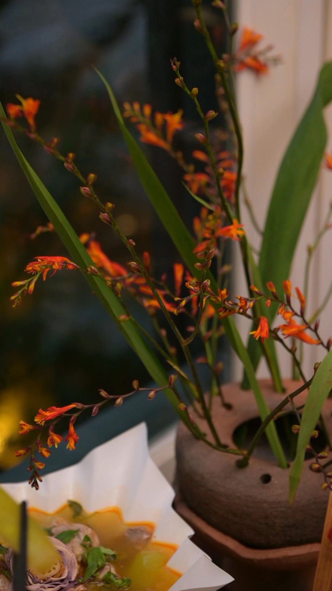 Senté giữa mùa thu Hà Nội: bản hoà âm của ẩm thực và cảm xúc