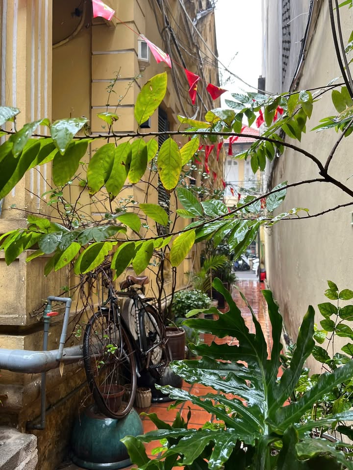 Mưa dầm, ghé Senté thưởng thức món ấm lành — ảnh 5