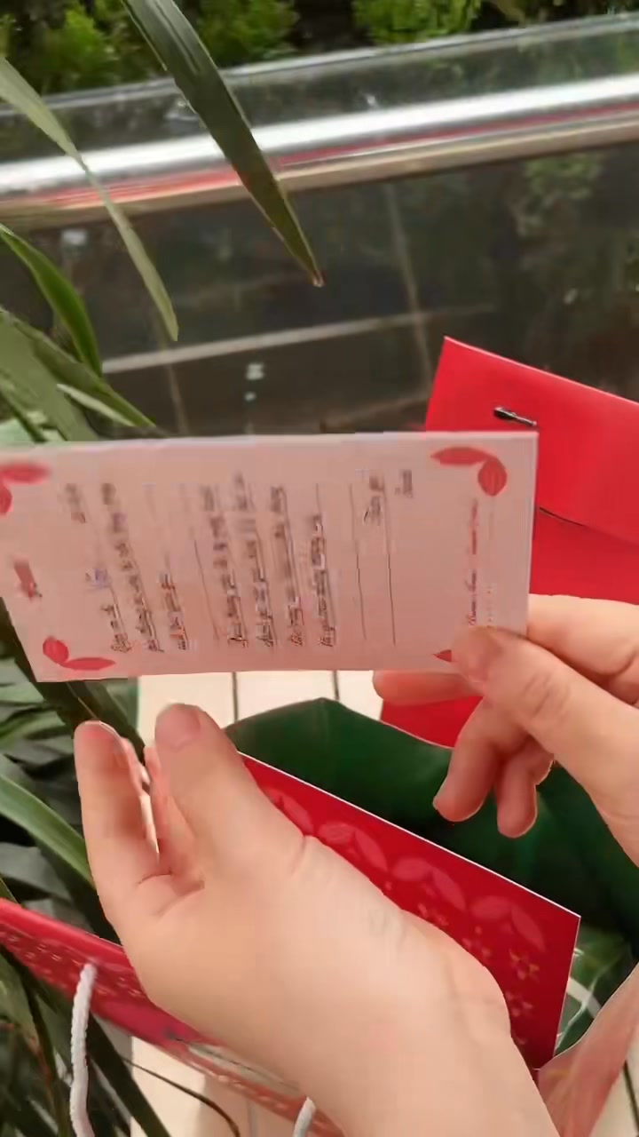 Bánh chưng Senté: gói chậm, nấu kỹ, giữ hương vị Tết Việt
