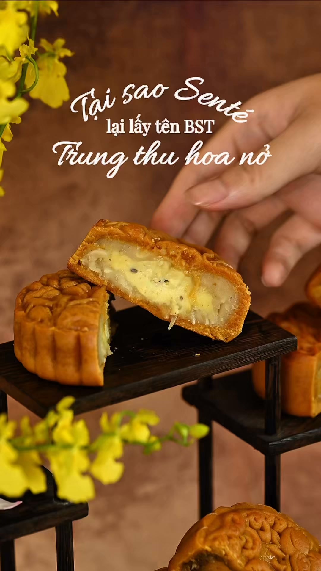 Senté và Trung Thu Hoa Nở: Mùa trăng của hoa, trà và những khoảng thảnh thơi